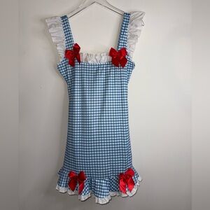 Copy Dorothy Gingham Dress M/L 💙 Wizard of Oz / Wicked Cosplay, Movie Look